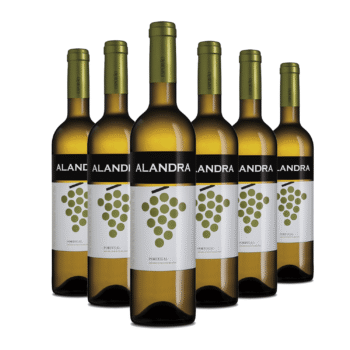 Kit 6 Alandra Branco