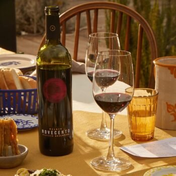 Novecento Vinho Tinco Malbec Argentino Garrafa 750 Ml