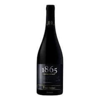 Vinho 1865 Single Vineyard – Malbec